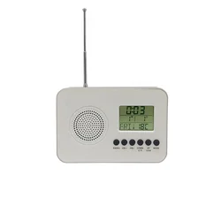 Оптовая продажа, современные прикроватные Цифровые портативные FM-радио часы с дисплеем даты температуры
