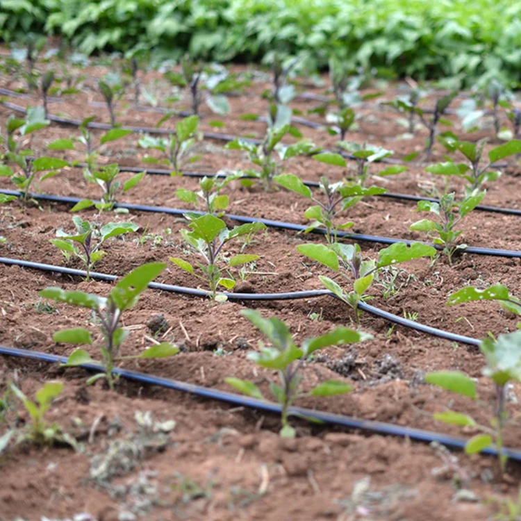 best price agriculture tree water drip tape hose line design automatic watering farm irrigation system for home garden plants