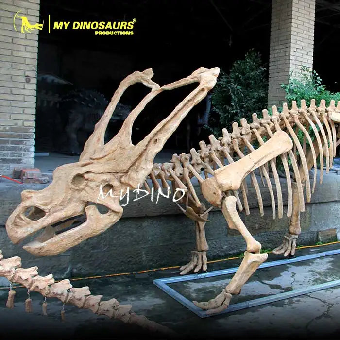 Каркас динозавра из стекловолокна скелет