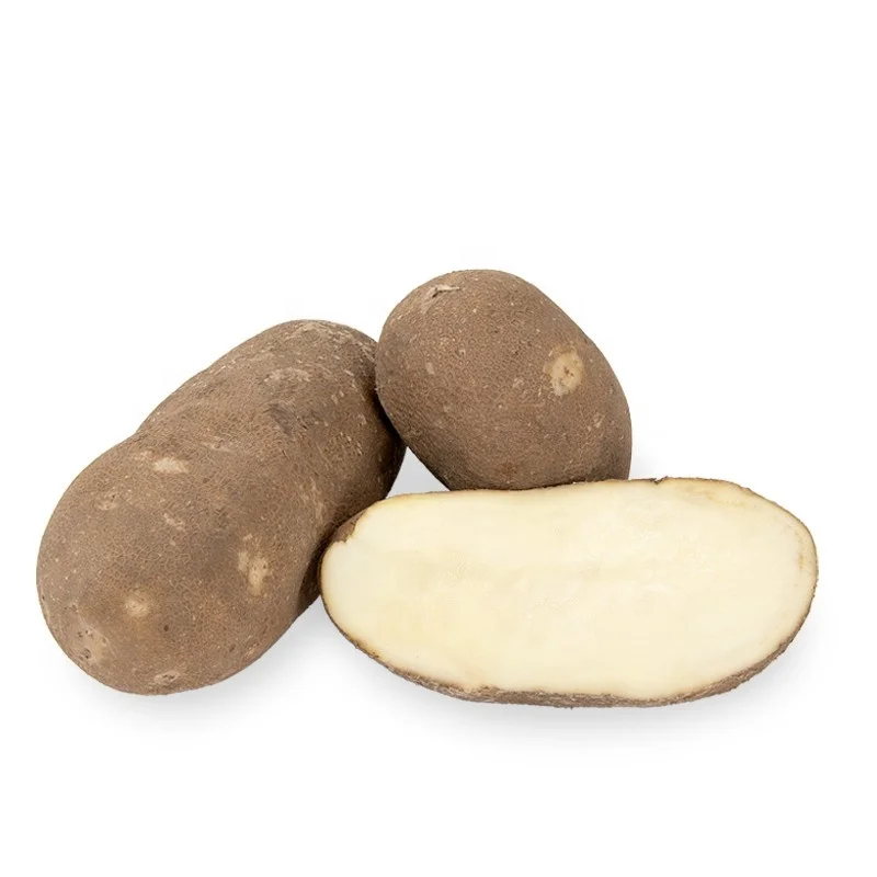 
Mexico Grown Vegetables POTATO WHITE Potatoes Robinson Fresh MOQ 50 LBS Quick Delivery in US 