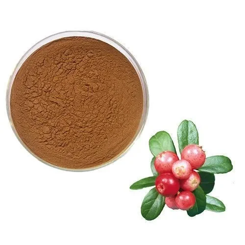 100% Natural Anthocyanins Phenolic Acids Flavonoids Rose Fruitbody Extract Powder Rose Hip Extract