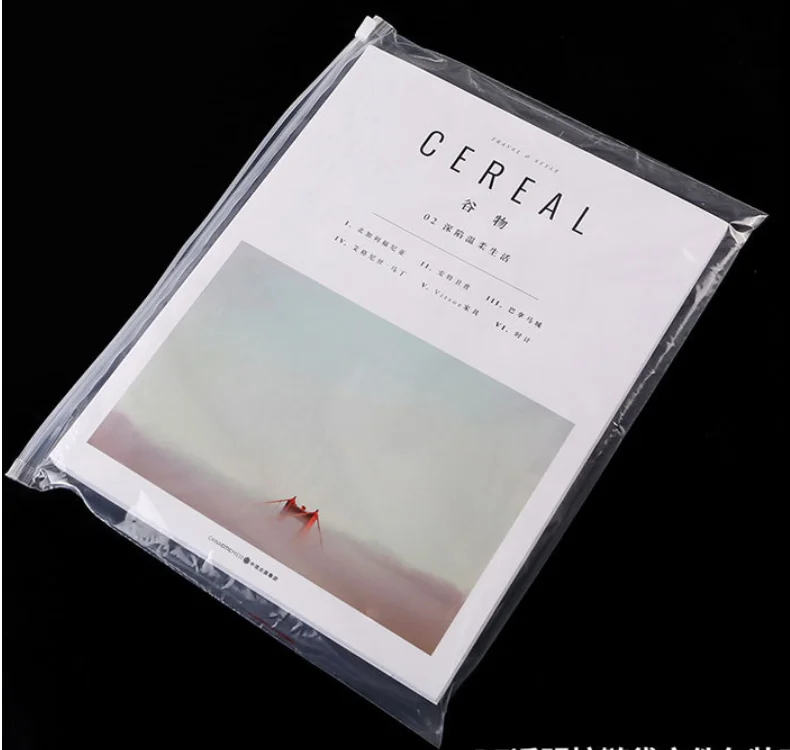 Various Size In Stock Clear Plastic Zipper Bags Frosted Zipper Bag For Clothing