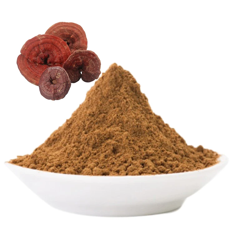 Органический экстракт reishi ganoderma lucidum 50% порошок грибов