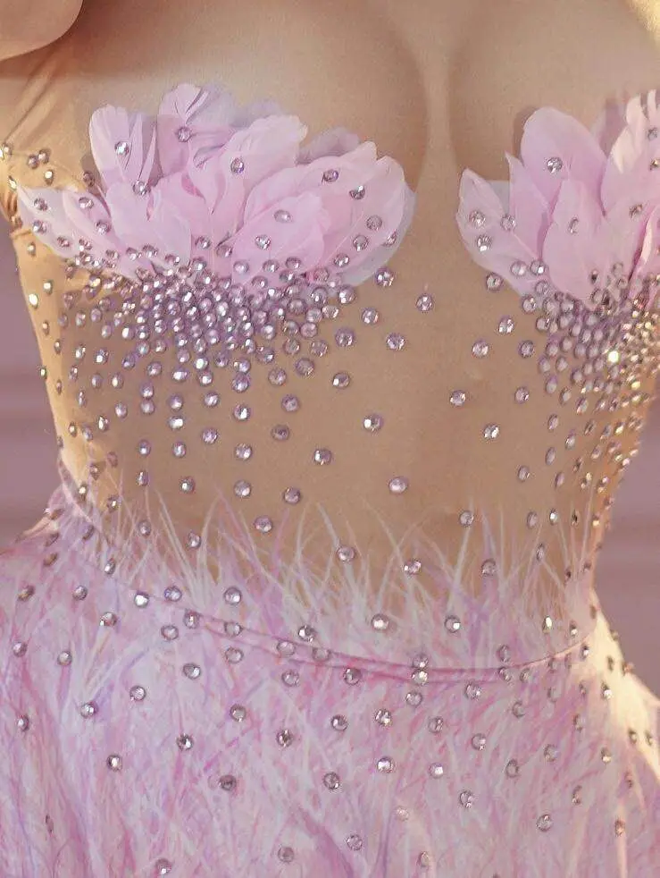 Flamingo costume Sexy girl stage show costume Pink Professional ballet tutu dress skirt party dance wear