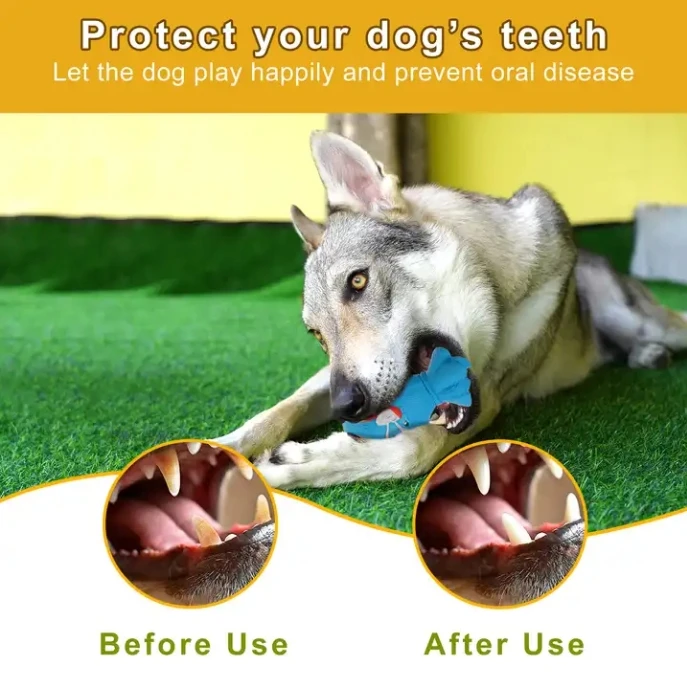 Innovative Pet Natural Rubber Bite Resistant Money Bag Toy Dog Chew Toys For Aggressive Chewers Large Breed