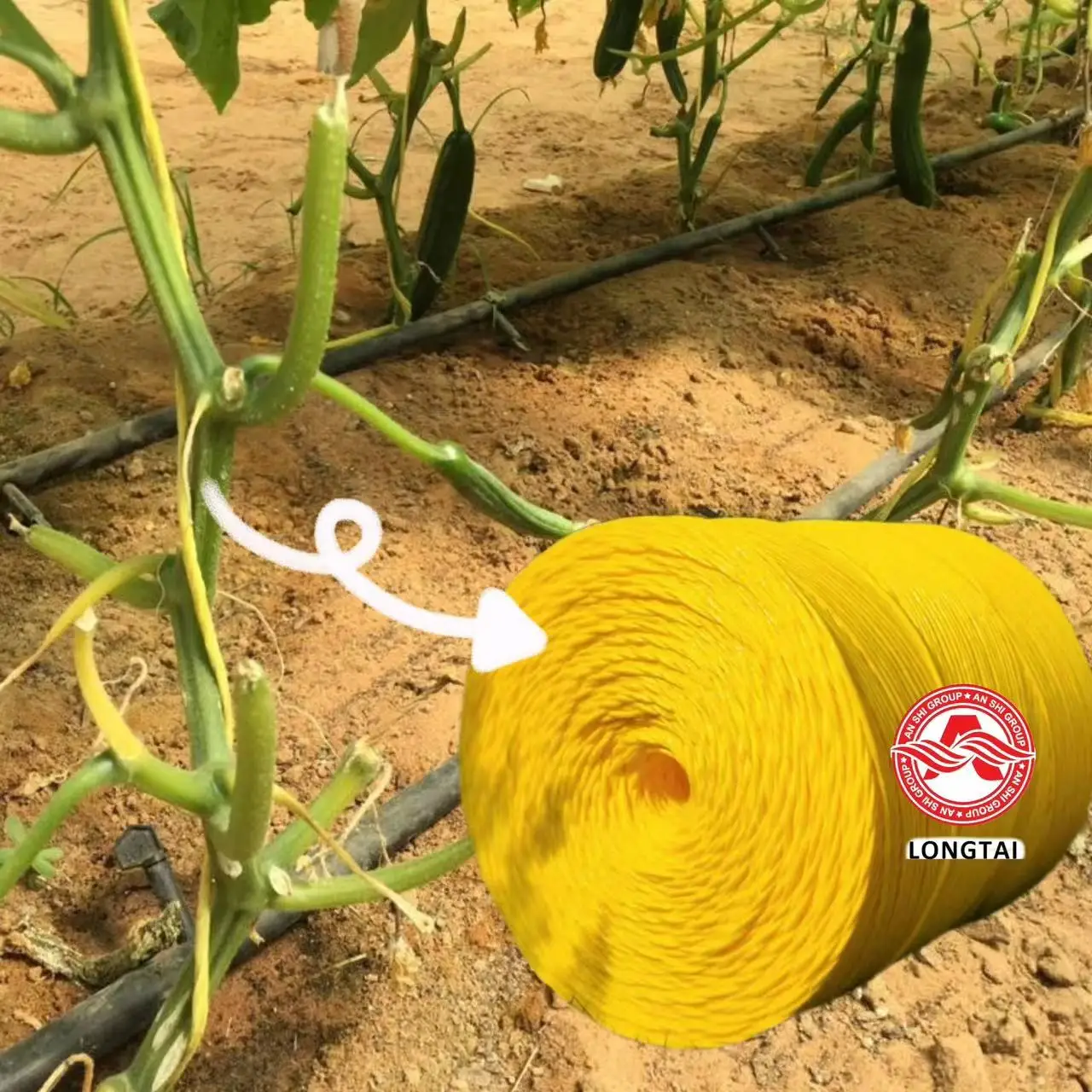 Garden Cucumber Twine for Crawling Plastic Plant Support Climbing