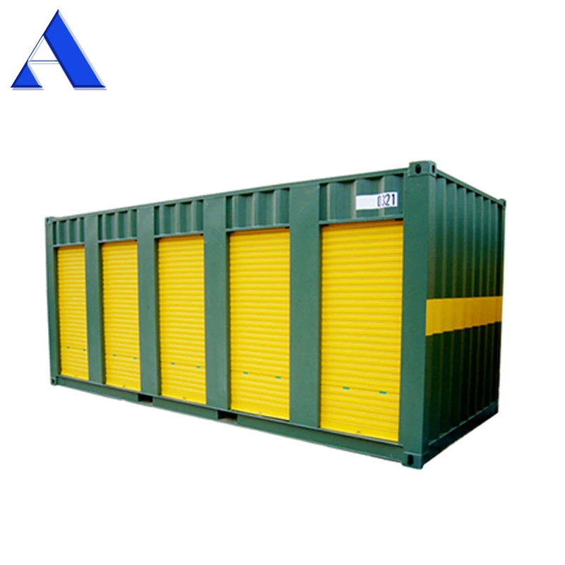 
Roller Shutter Door Mobile Shipping Units 20ft Storage Container 