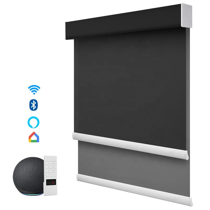 motor blackout roller blinds for hotel double window blinds for window day and night blind villa roller shades zebra curtain