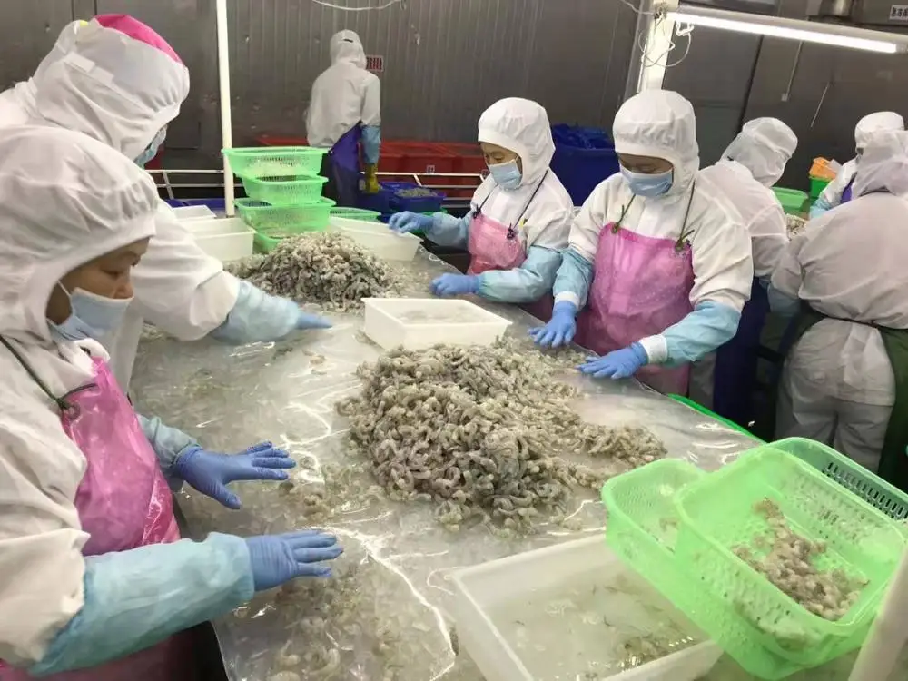  Лидер продаж замороженные креветки Vannamei HLSO от китайского производителя