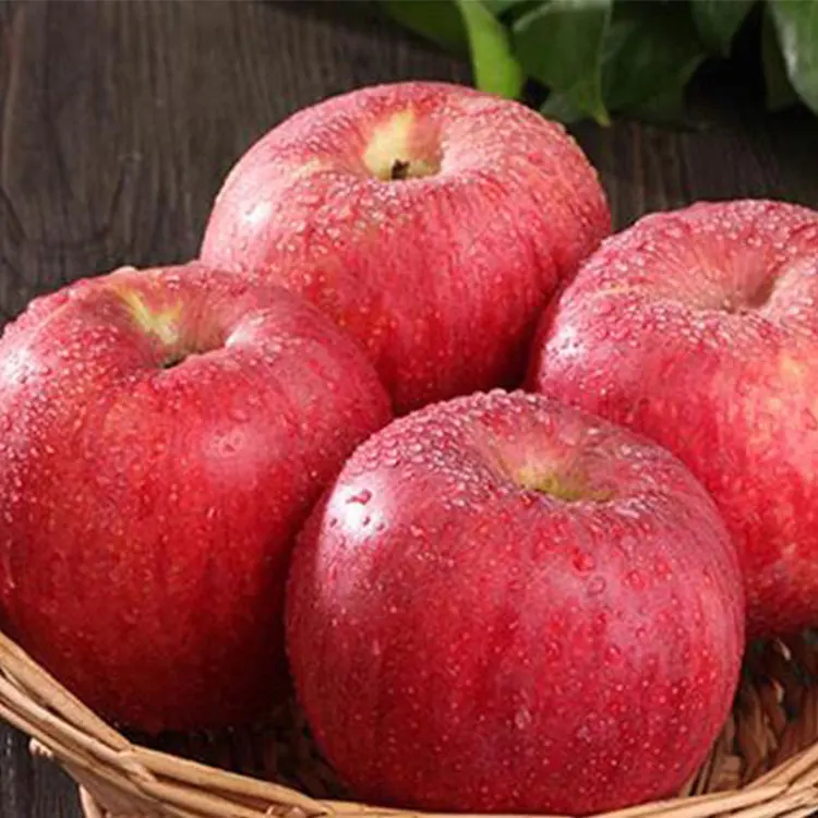 
 Китай, оптовая продажа, свежие яблоки Qinguan, выход из Сербии, Польша  