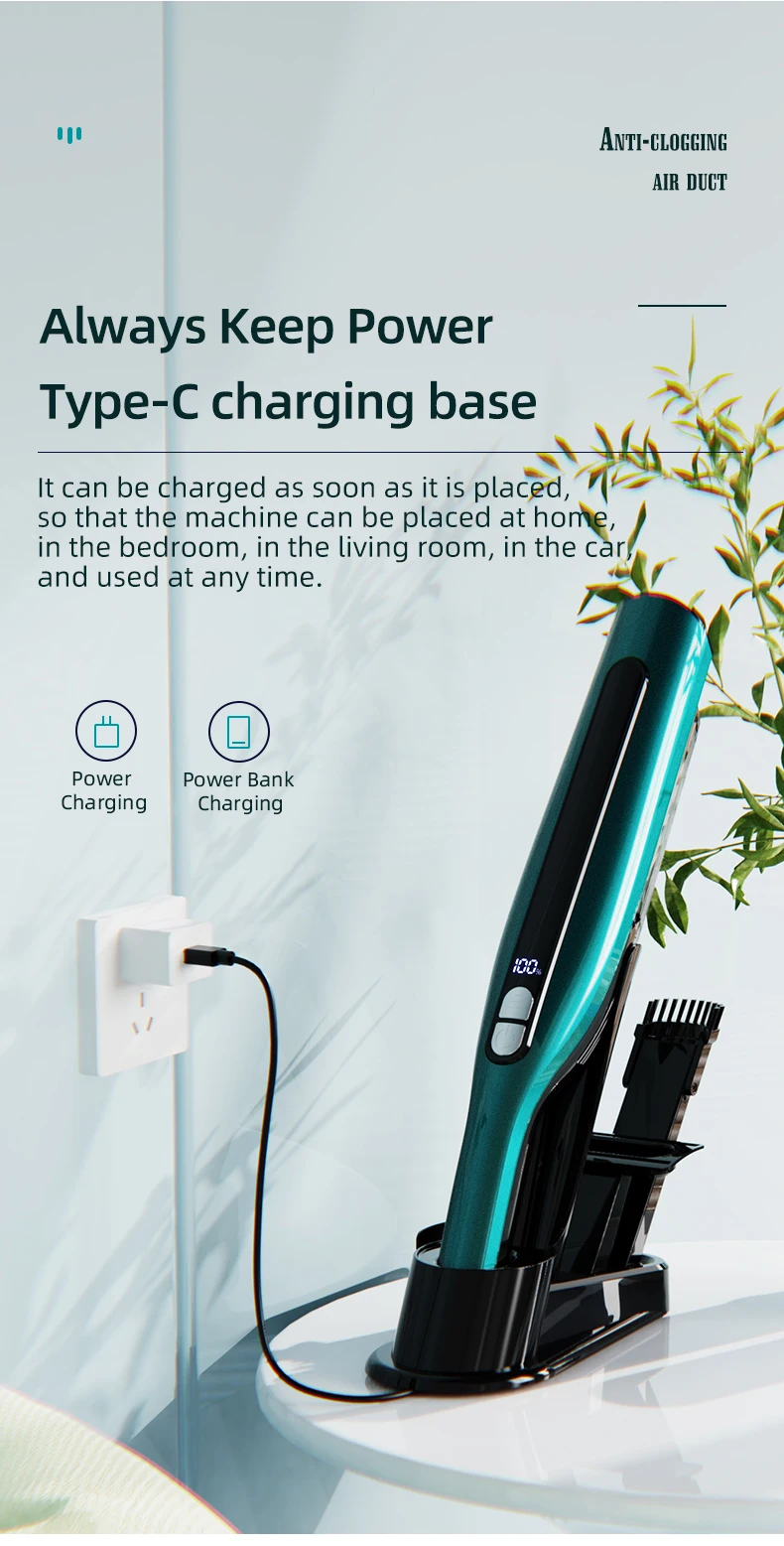 steam vacuum cleaner portable