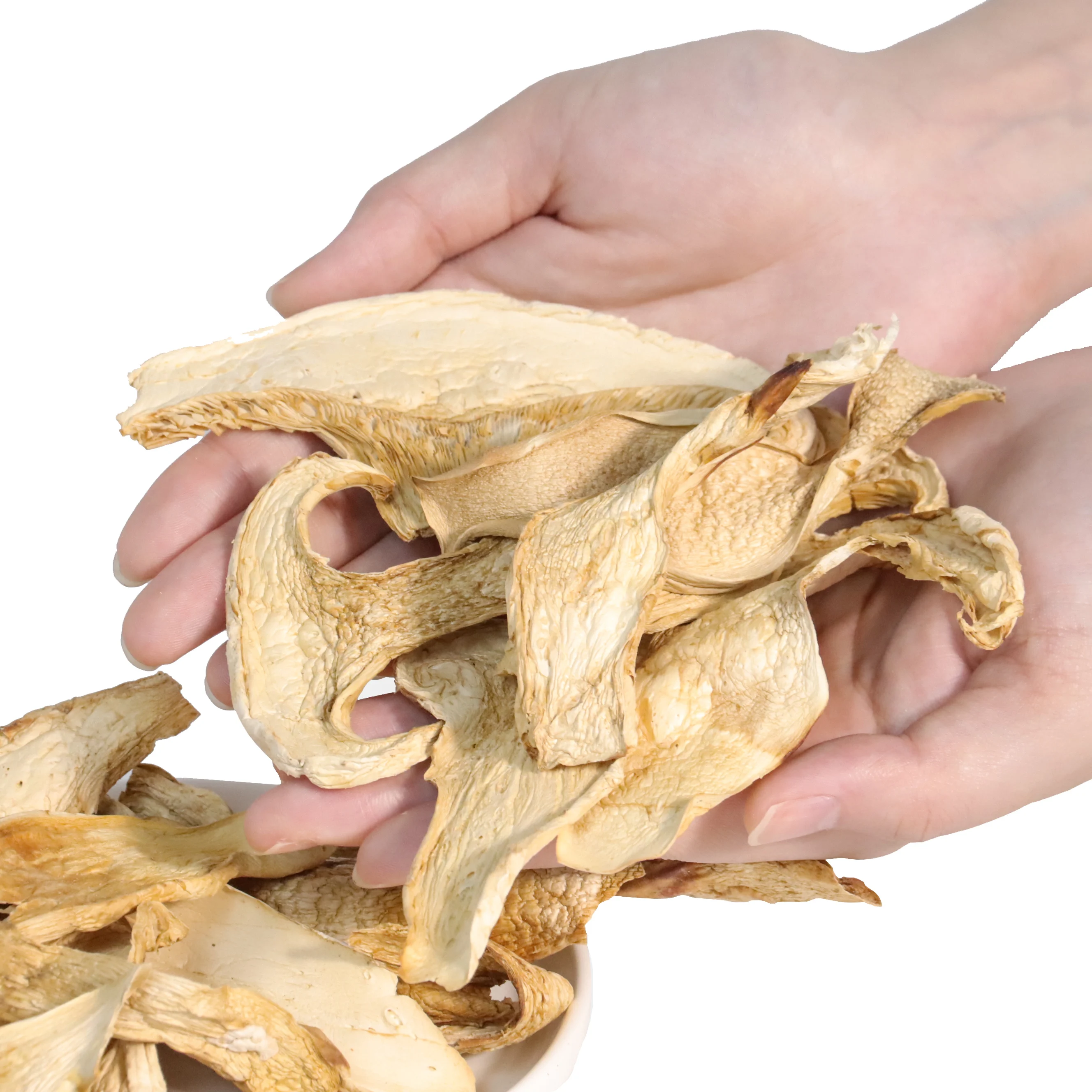 Wholesale Organic Butter Mushroom Dry boletus Edulis mushrooms Whole Butter Mushroom