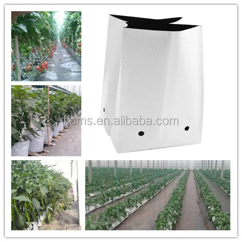 30 gallon black and white grow bag for fruit vegetable plantation