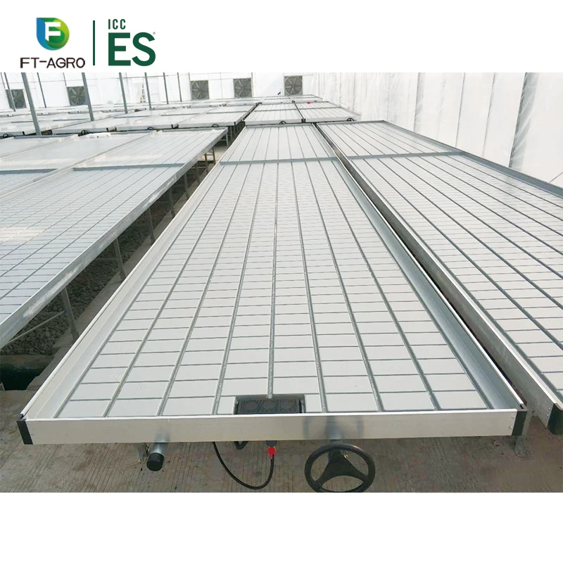 Сельскохозяйственная гидропонная система выращивания томатов, выращивание водосточных желобов