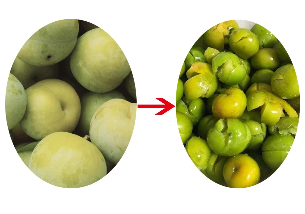 Fruits Citrus  Hand Manual exprimidor de limones Stainless Steel Orange Handheld juice lime Pressing Lemon Squeezer