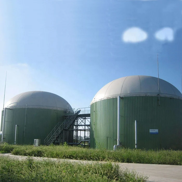 Double Film /Membrane Bio gas Storage Bag Balloon Tank Cabinet Roof Dome System Gas