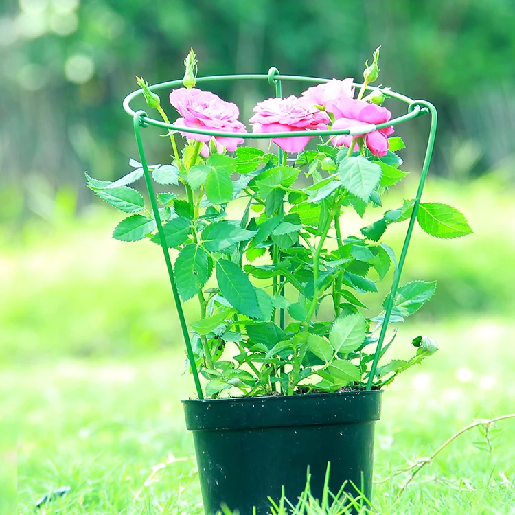 3 Rings Garden Plant Climbing Sticks Garden Trellis Flower Support Tomato Cages Stand