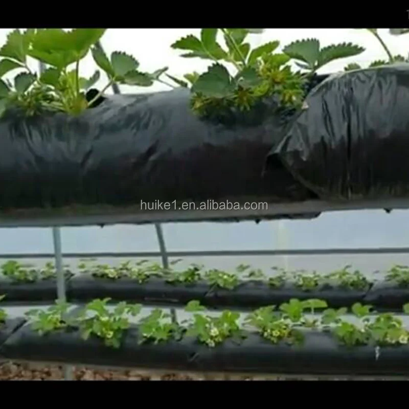 Factory direct sales Economic and durable UV resistant special coco peat strawberry planting grow bags