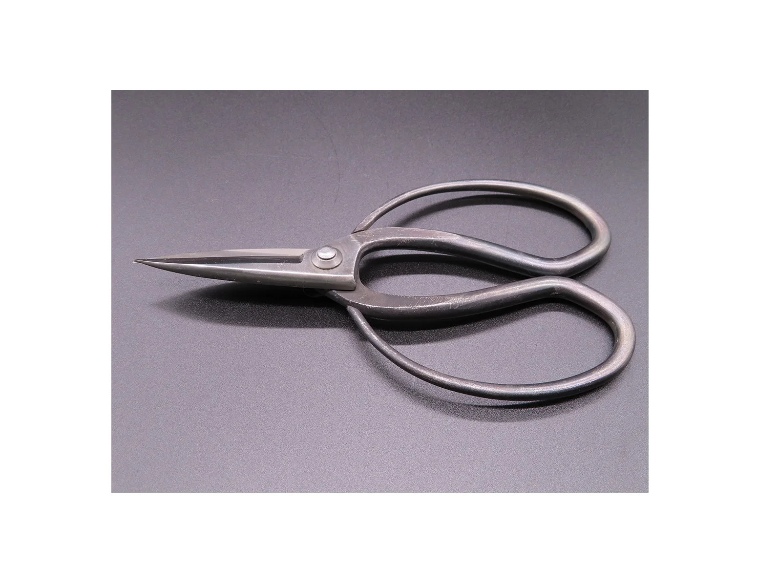 Plant portable pointed tools scissors seeds garden shears for garden