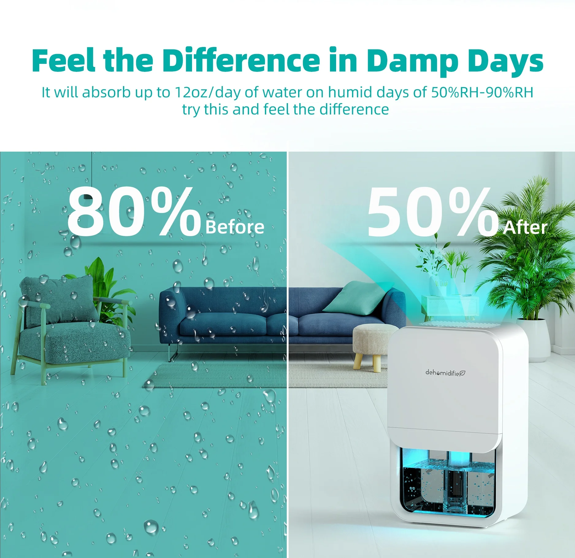 OEM factory golden supplier physical peltier small home portable DC 12V deshumidificador para el hogar