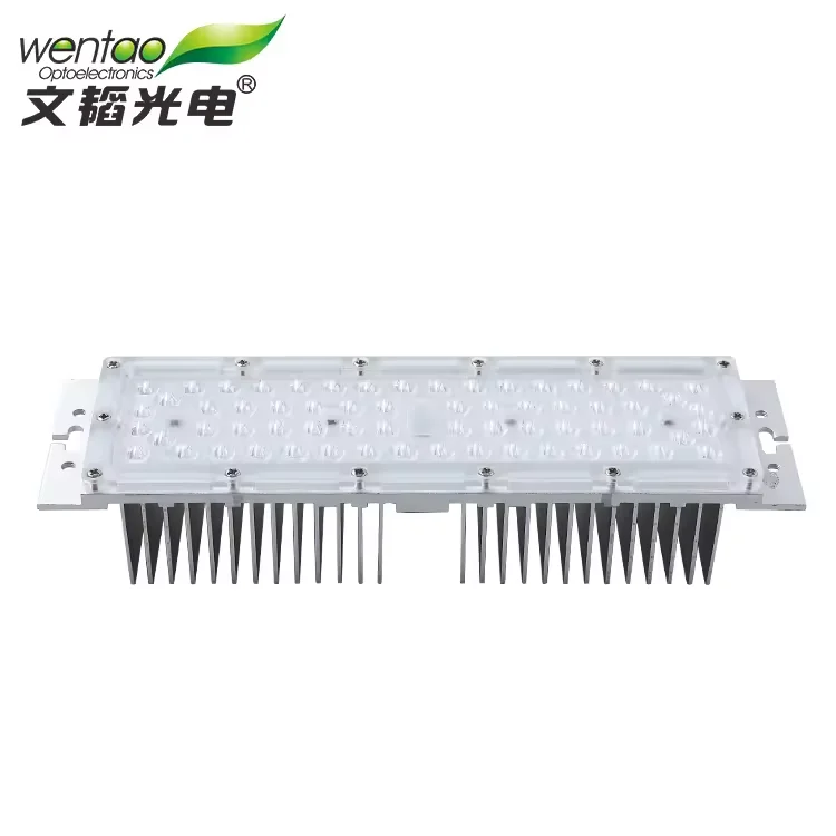 All Optical Type Lens Led Module 50W 60W With Aluminum to heat dissipation White 3000K Led Street Light Module