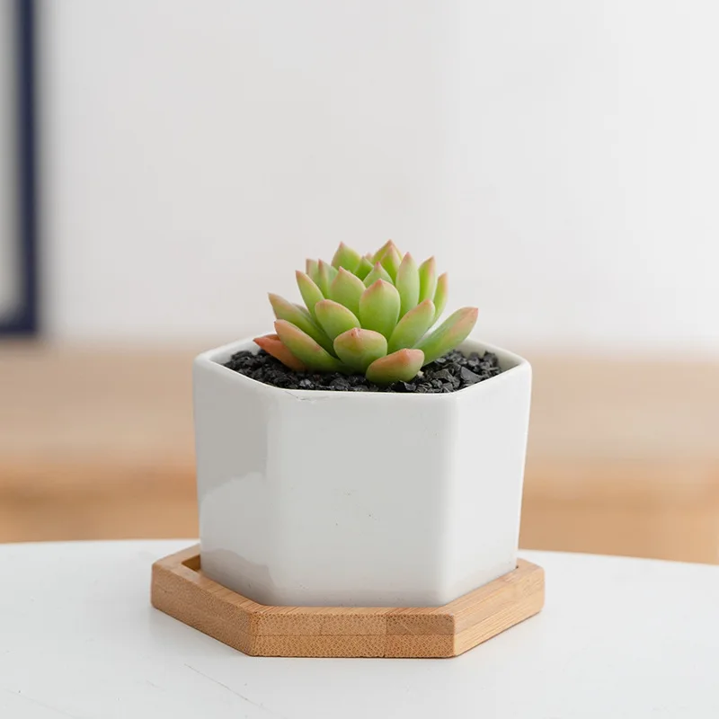 Wholesale Modern White Decorative Garden Mini Humanoid Porcelain Ceramic Flower Pot with Bamboo Tray Succulent Plant Pots