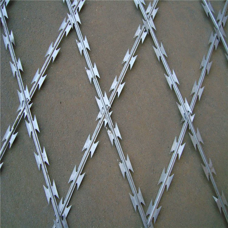 Complete Specifications Barb Wire High Tensile Razor Barbed Wire For Safety Facilities