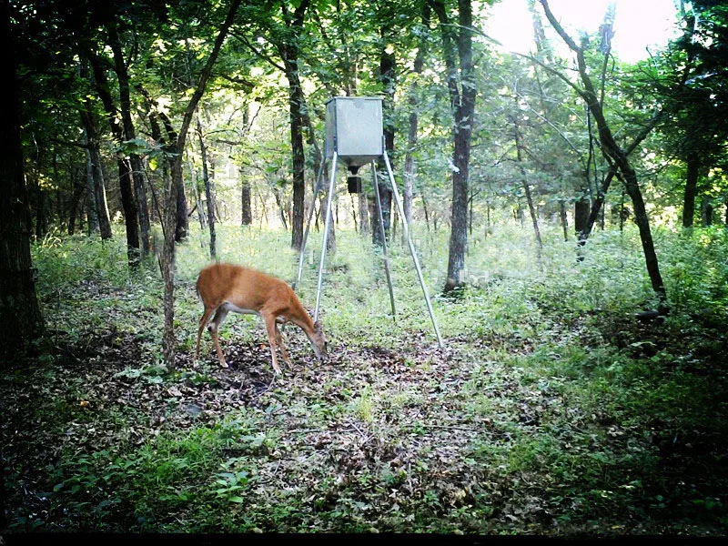 high quality Galvanized steel  deer feeder for hunting