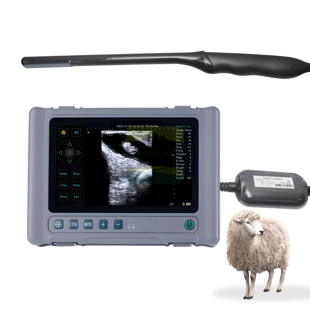 HD images Sheep Pregnancy ScannerT1 Sheep rectal probe with handle  Goat Sonar Scanning Machine