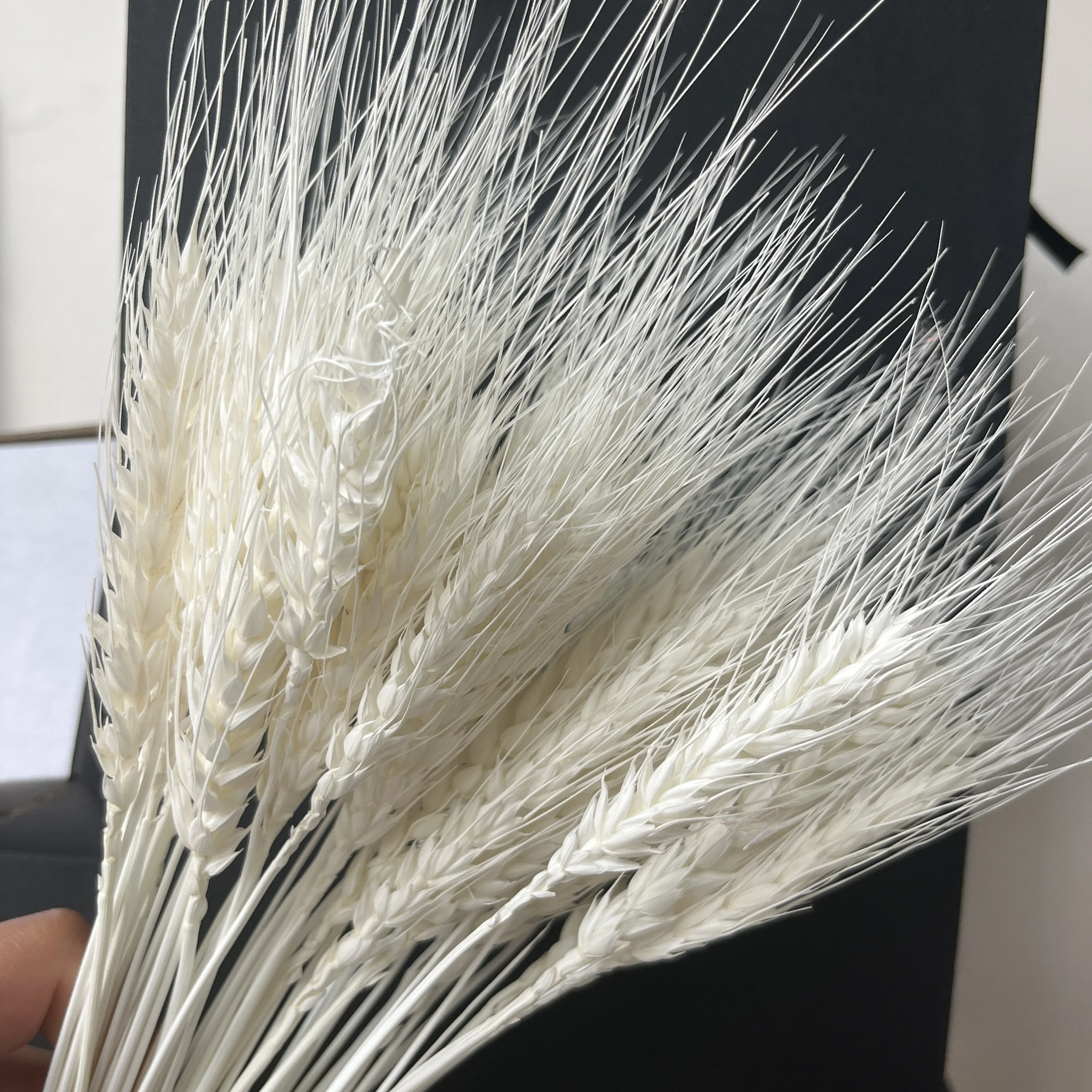 Hot Sale Natural Craft Multi-colored Real Dried Wheat bouquet flowers For Decoration