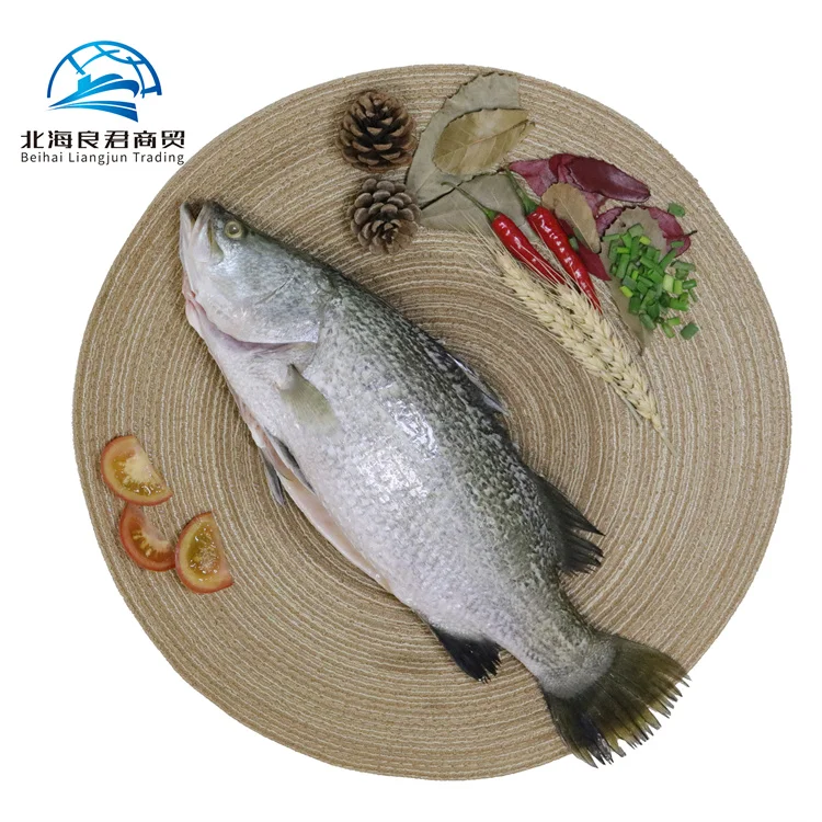 Factory direct sales price frozen fresh seafood live whole fish barramundi for sell