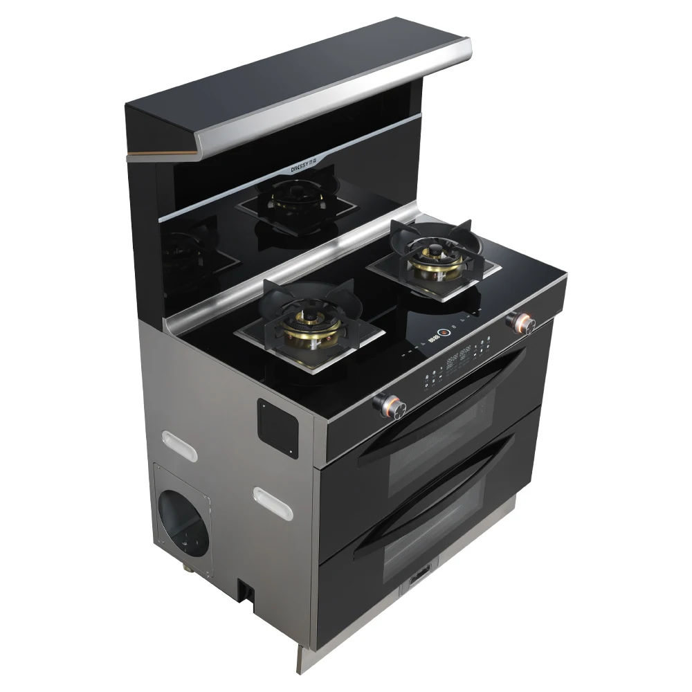 Gexiang Supplier Custom Built-In Integrated Oven Under Cabinet Electric Chimney Range Cooker Hood