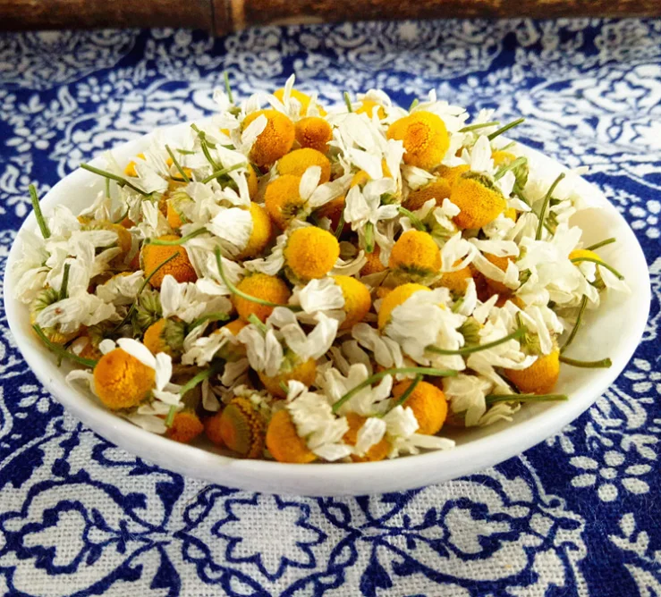 private label high quality Organic dried loose non-caffeinated Chamomile Flower tea  as  sleep Tea