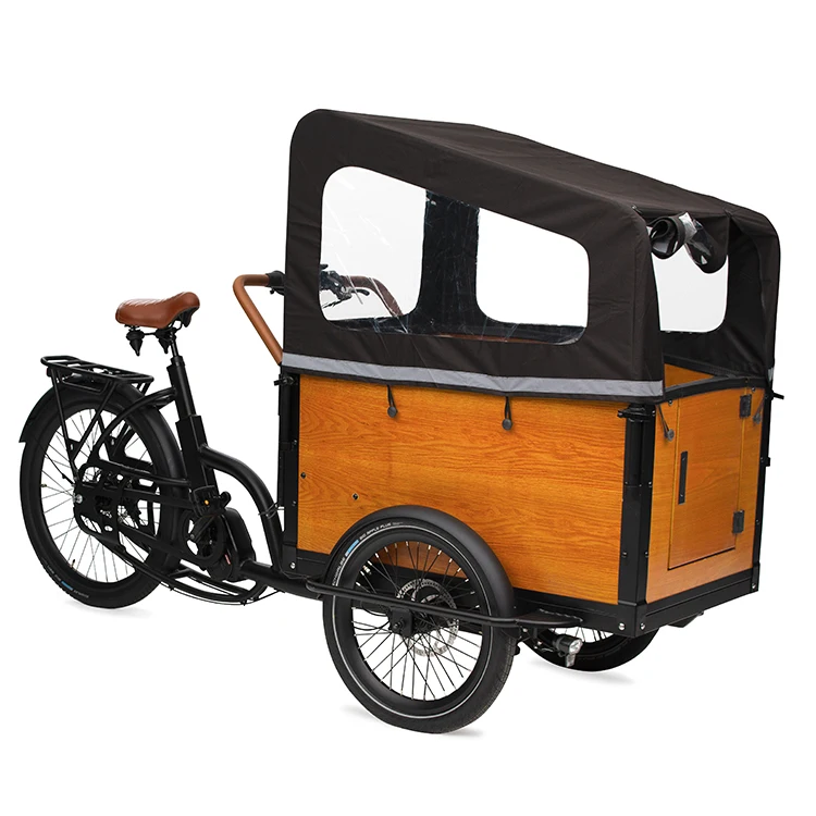 Electric cargo bike tricycle bike / cargo tricycle / e bakfiets with cabin for carrying kids