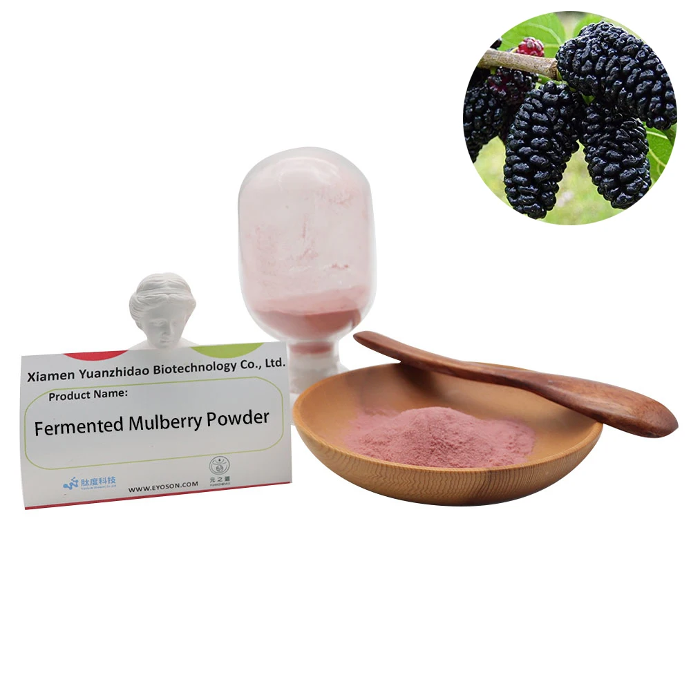 Hot Selling Super Fresh Fermented Mulberry Powder Health Care Raw Material  Mulberry Powder Nourishes The Liver And Kidney