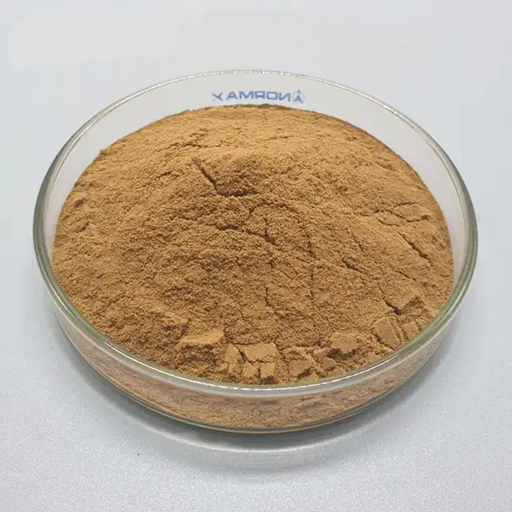 High Quality Polysaccharide 30% Oyster Mushroom Extract
