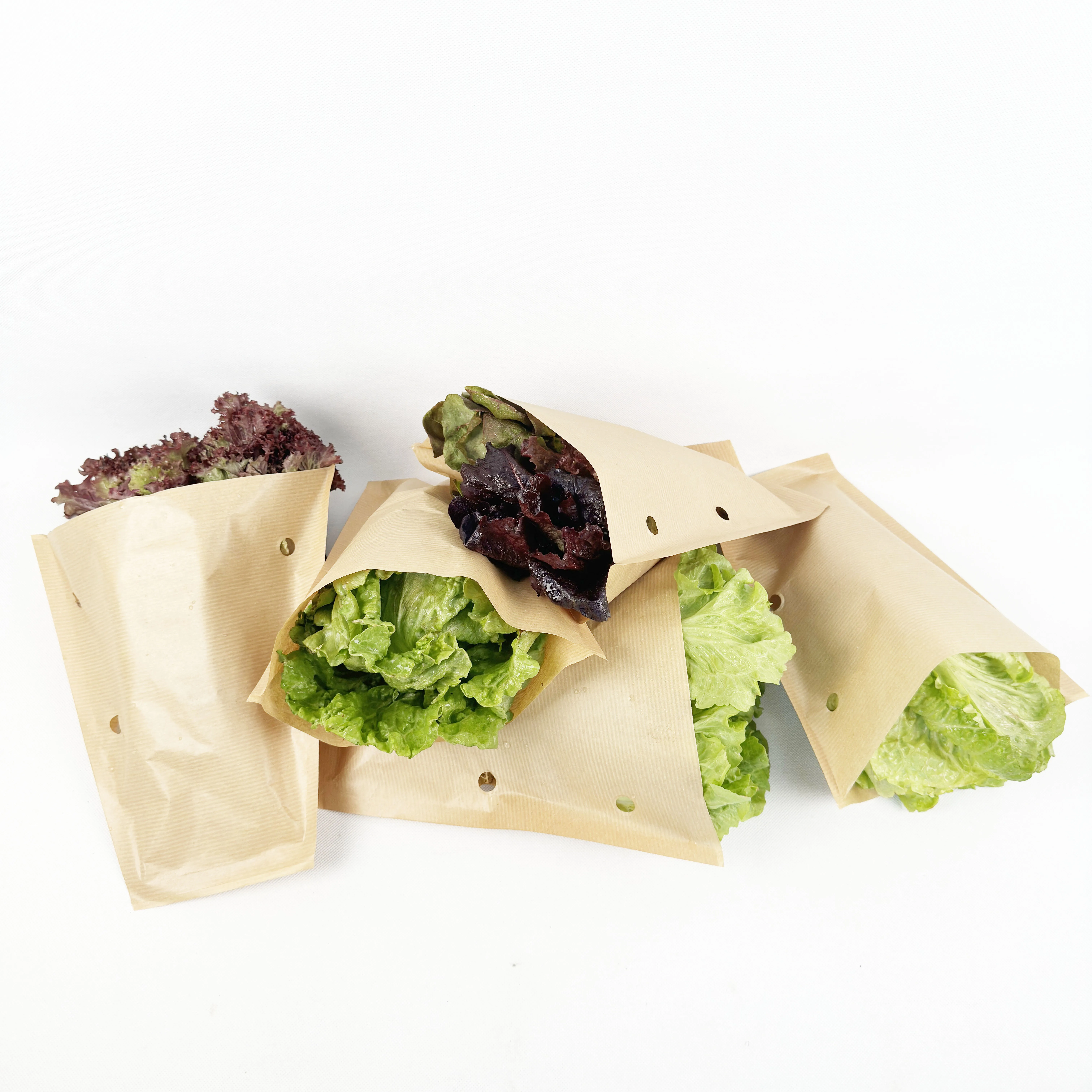 Biodegradable Hydroponics Shrink Bags for Fresh Living Lettuce & Herb Roots Bottom Closure for Agriculture Use