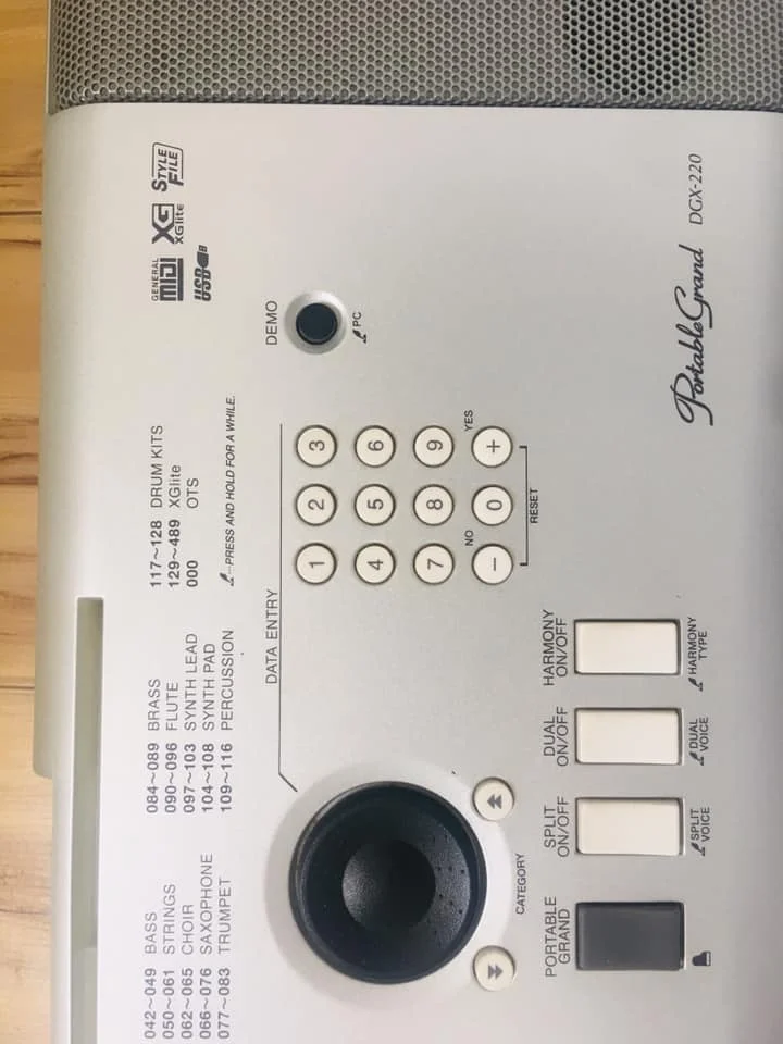 DGX205 YAMAHAs refurbished portable high-end playing Electronic keyboard digital grand piano