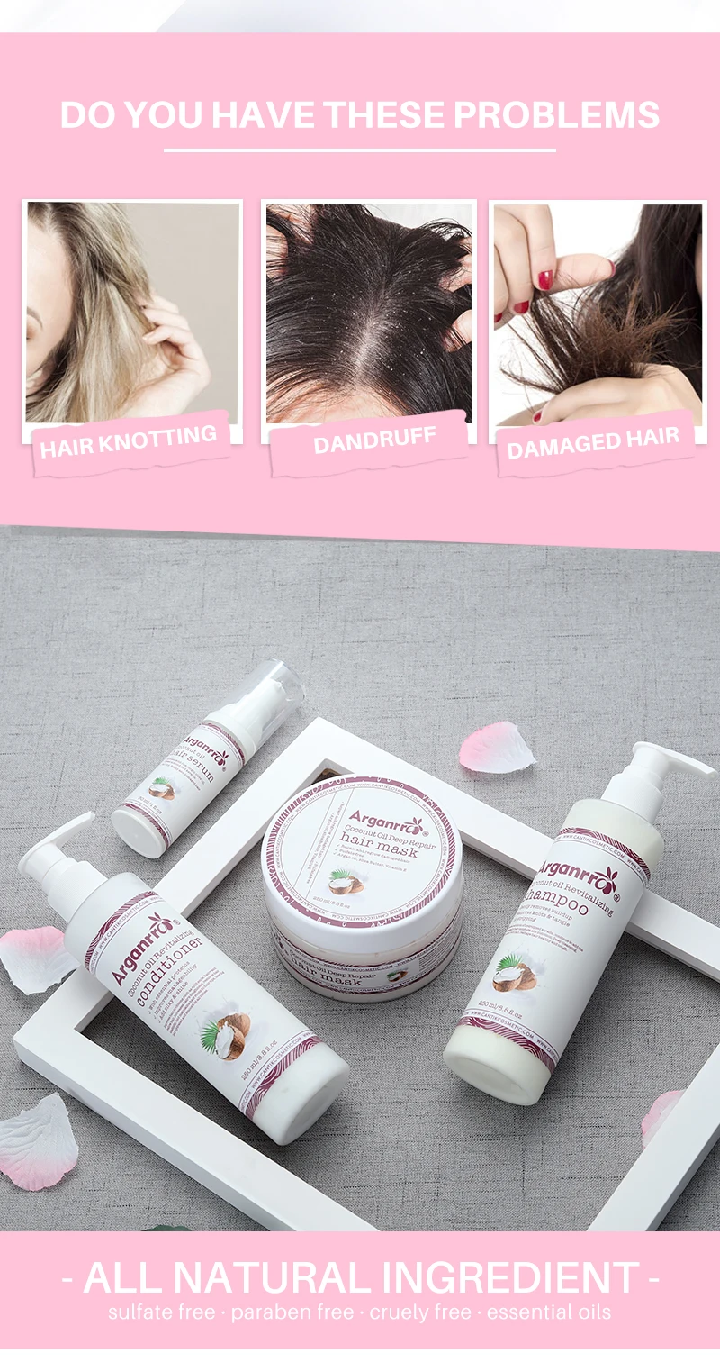 Manufacturer Natural Moisturizing Smoothing Argan Oil Coconut Oil Hair Shampoo for Dry Damaged Hair Care Set