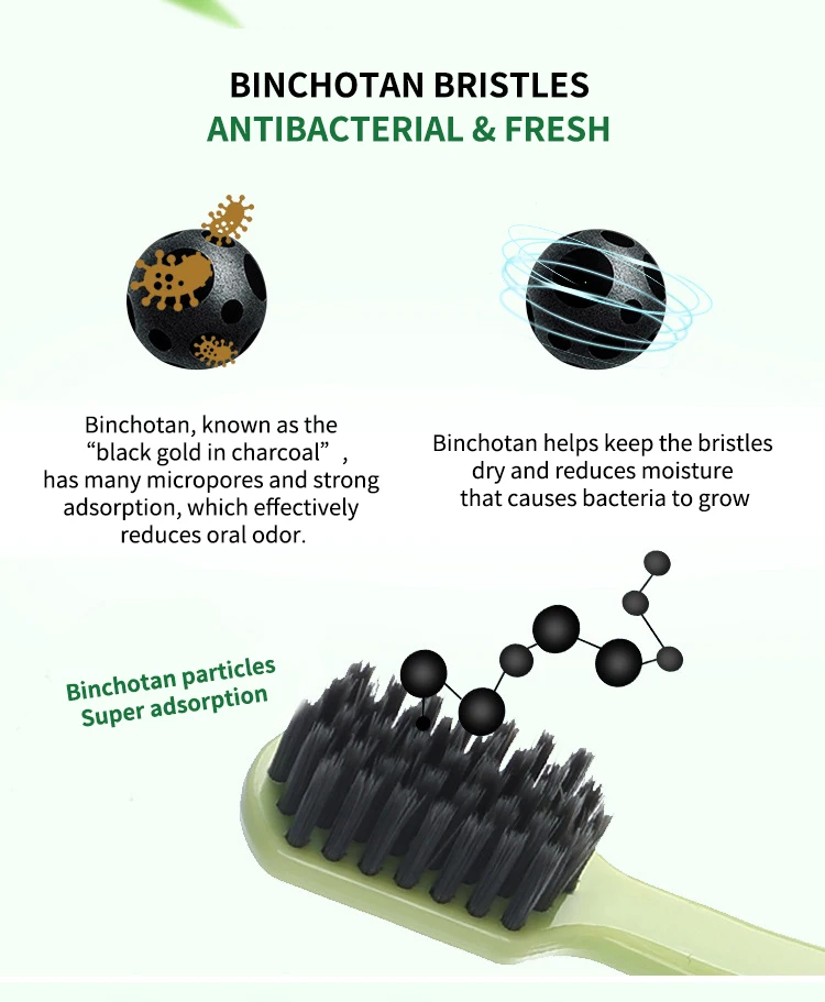 Econewleaf 100% Biodegradable Eco-friendly Corn Starch PLA Toothbrush with Soft Bristle