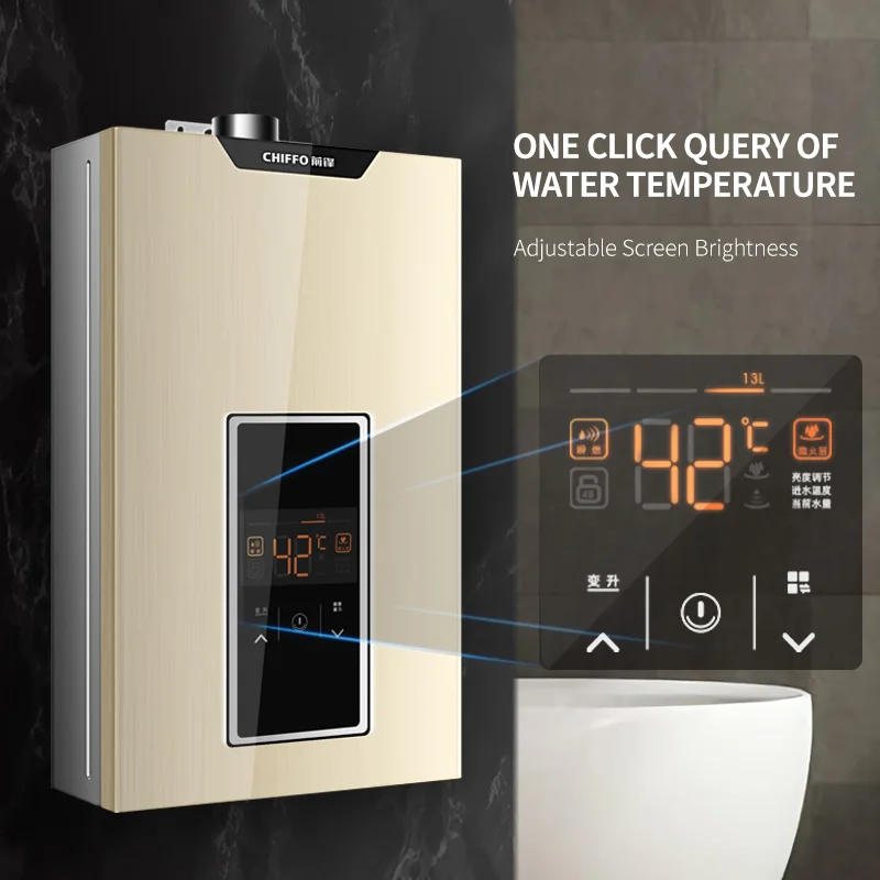 Customized 13L Wall-Mounted Smart Digital Temperature Control Gas Water Heater Household Smart Water Heaters for hotel use
