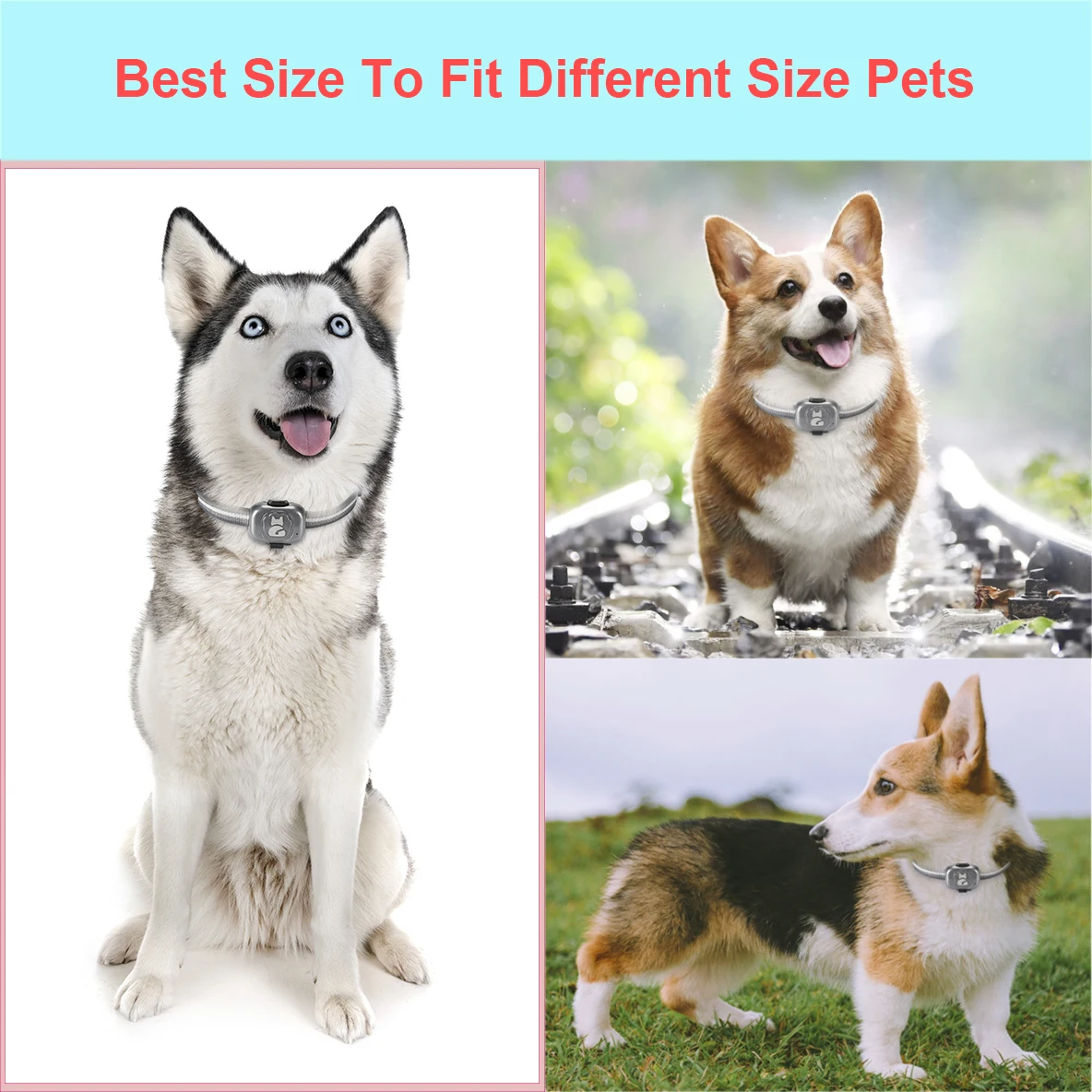 Free collar+APP real time pet dog cat GPS tracker G16 anti-lost waterproof animal mini GPS tracking device