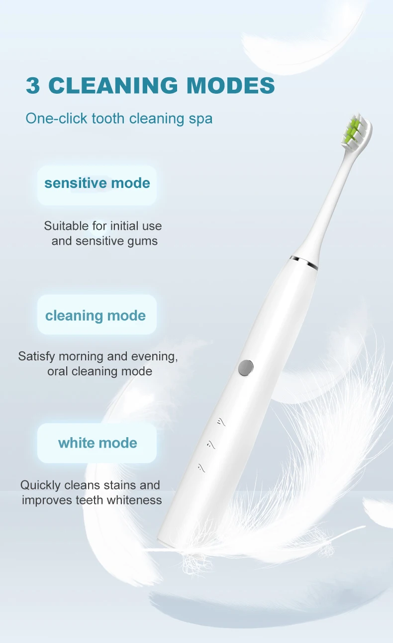 Wholesale USB Fast Charge Rechargeable 4 Heads Luxury Health Sonic Smart Electric Toothbrush for Adults