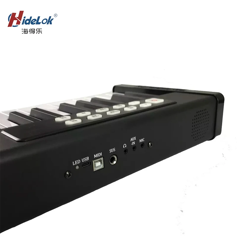 Professional Digital Electronic Piano 61 Key China Teclado De Piano Digital (DP61)