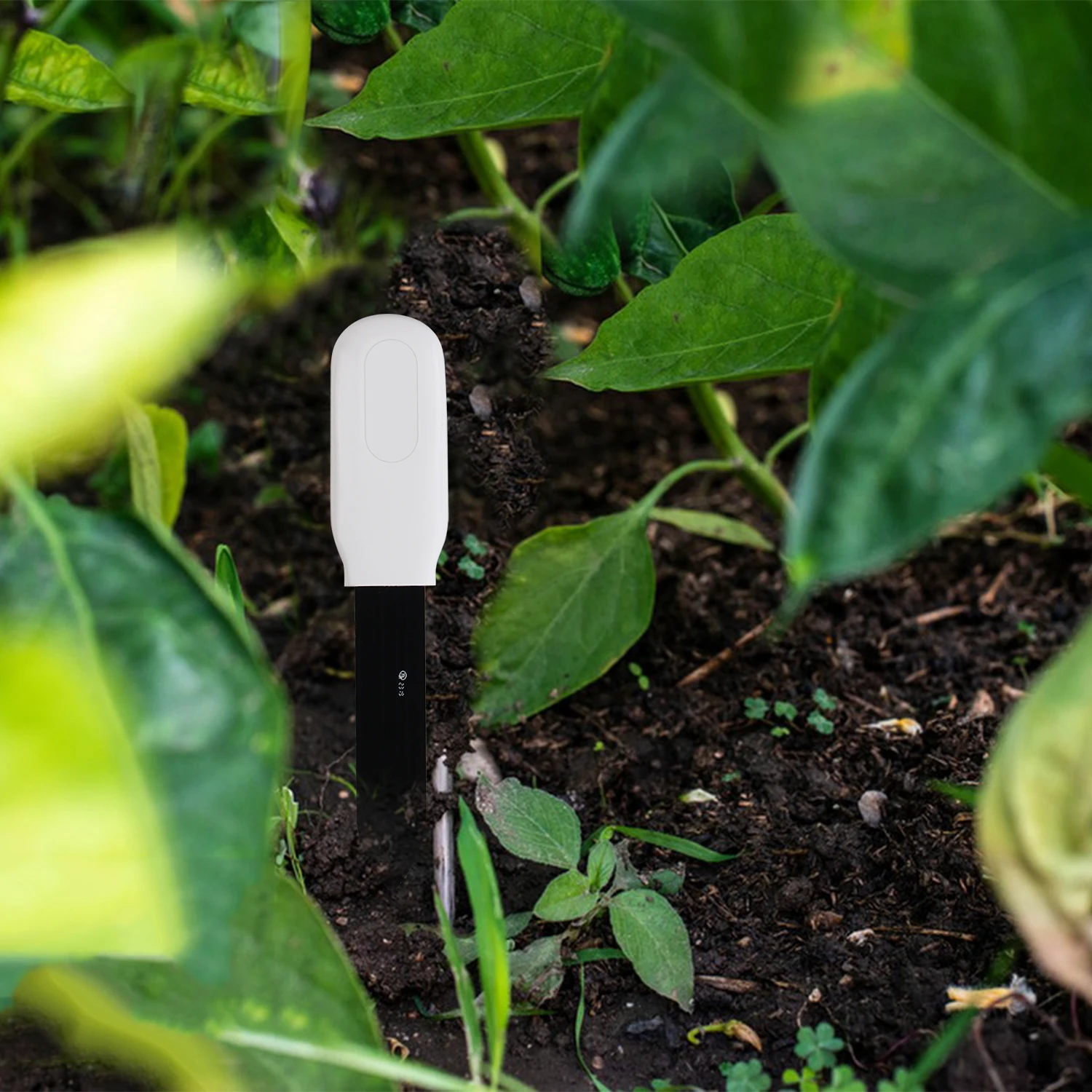 TUYA APP Wireless Smart Blue tooth Soil Temperature Meter Moisture Humidity Sensor Plant Monitor