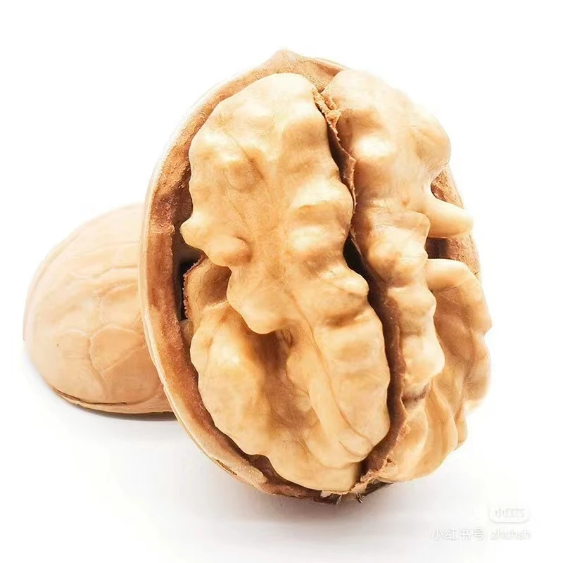 Top Quality Walnut Wholesale Paper Raw 185 Walnut Bulk Price Big Walnuts In Shell