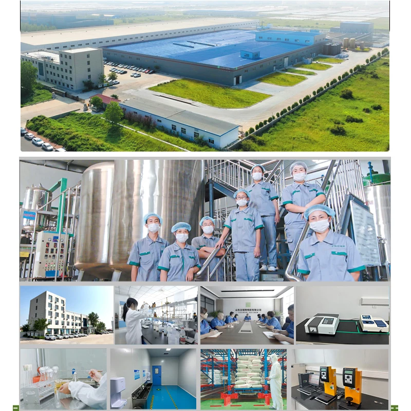 Top Quality Gelatin factory Unflavored Gelatin Pharmaceutical Grade Medical Gelatin