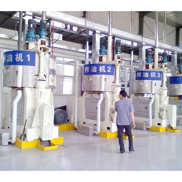 Big Capacity Groundnut Oil Presser Screw Oil Press Machine Price