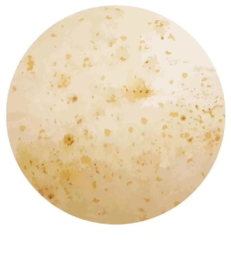 Pizza Novelty Food Blanket Adult Size Funny Realistic Throw Blanket Fuzzy Fleece Blanket Flannel Gift for Adult and Kid