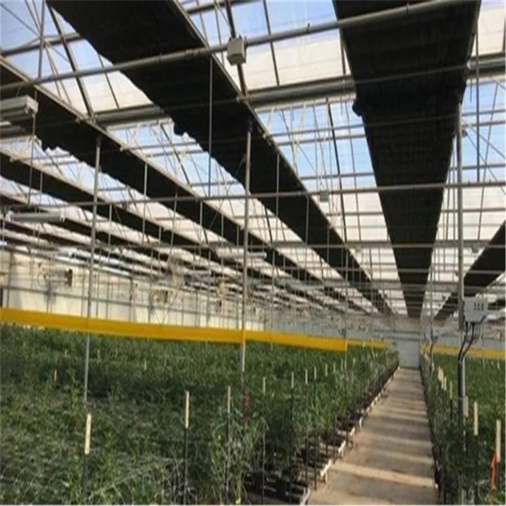 hemp greenhouse blackout film Blackout+Greenhouse+For+Fully+Automated+Light+Deprivation+System